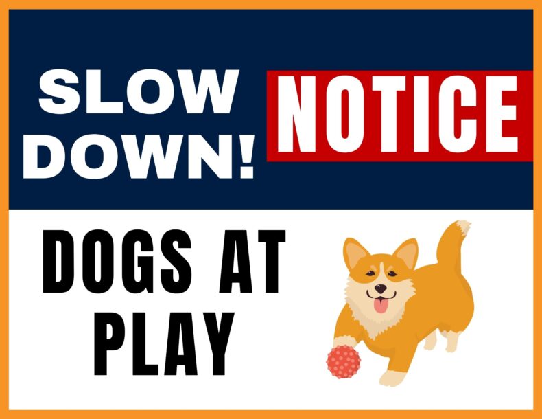 Slow Down Sign Dogs at Play