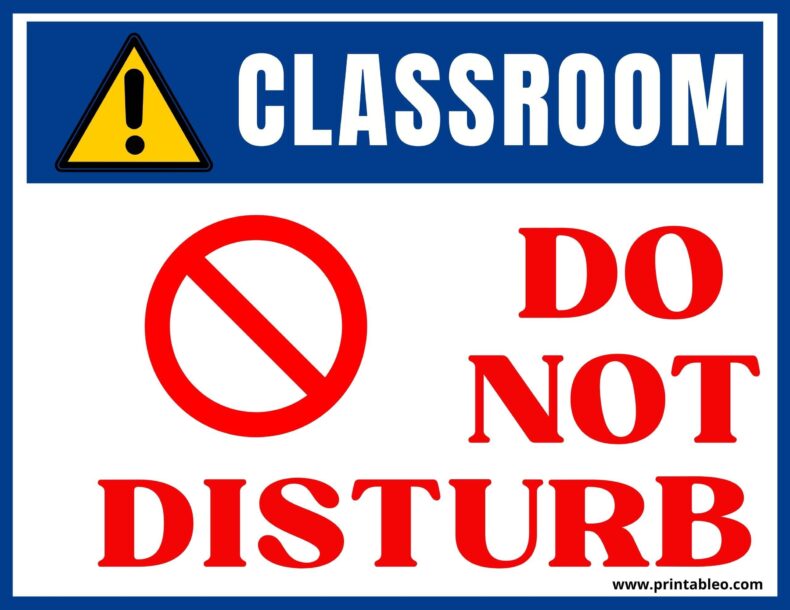 Do Not Disturb Classroom Sign