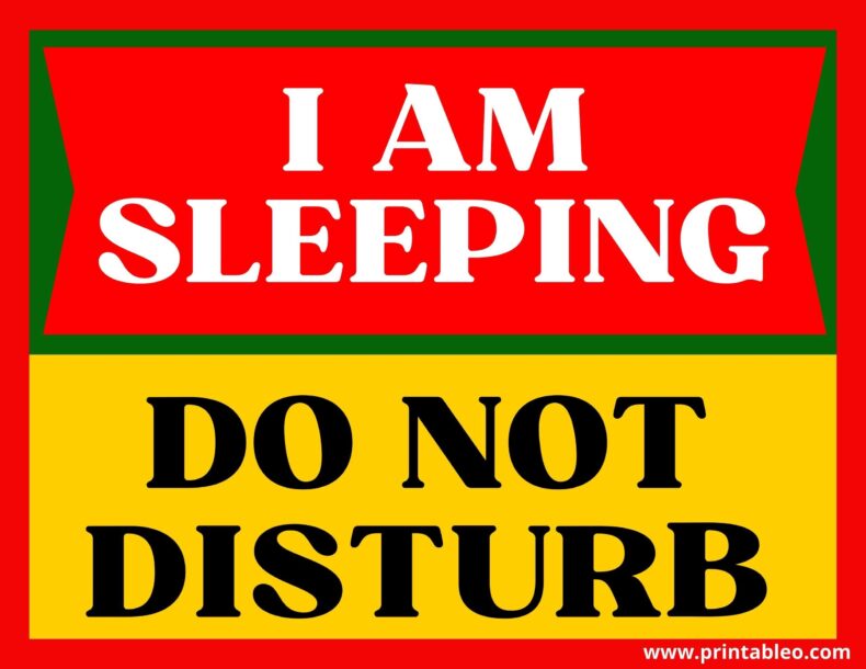 Do Not Disturb I Am Sleeping