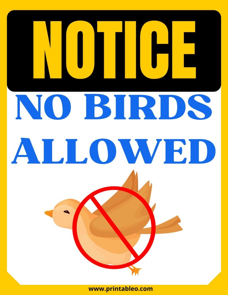 No Birds Allowed Sign