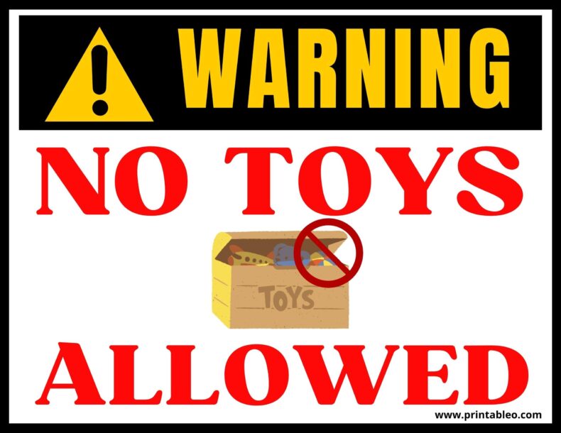 No Toys Allowed Sign