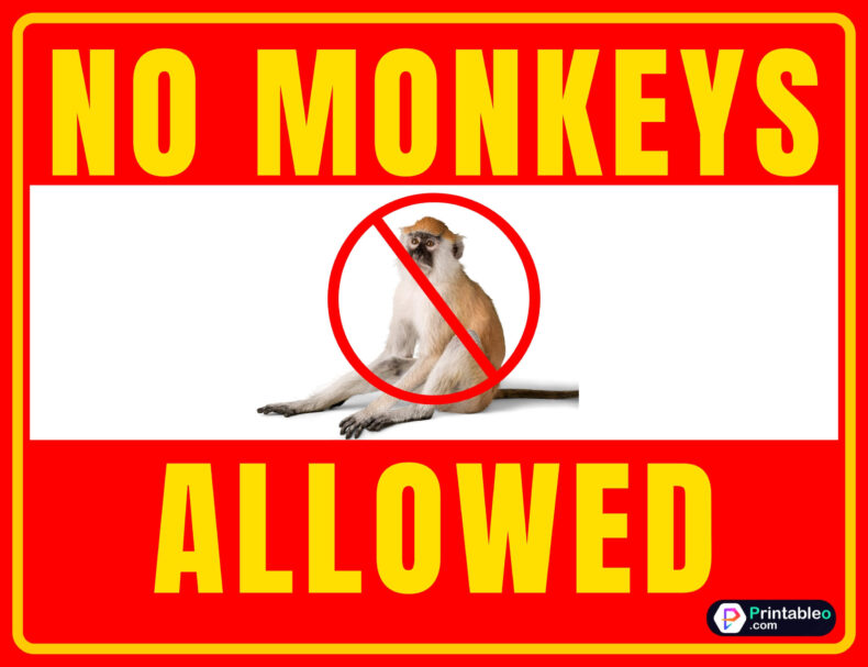 No Monkeys Allowed Sign