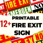 12+ Printable Fire Exit Sign
